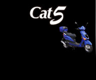 cat5